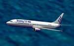 FS2002
                  House colors BOEING 737-400
